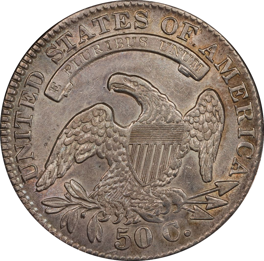 247046962_1200x1200.png?v=