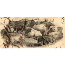 Load image into Gallery viewer, 1840 $5 Texas, Nacogdoches - Kelsey H. Douglas - PMG 55 - Antebellum Numismatics