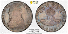 Load image into Gallery viewer, 1832-PTS JL Bolivia Silver 8 Soles - PCGS VF30 - Subtle Toning! W/ True-View!
