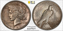 Load image into Gallery viewer, 1921 High Relief Peace Dollar - PCGS AU55 - CAC Approved! Nice KEY Date! Choice+
